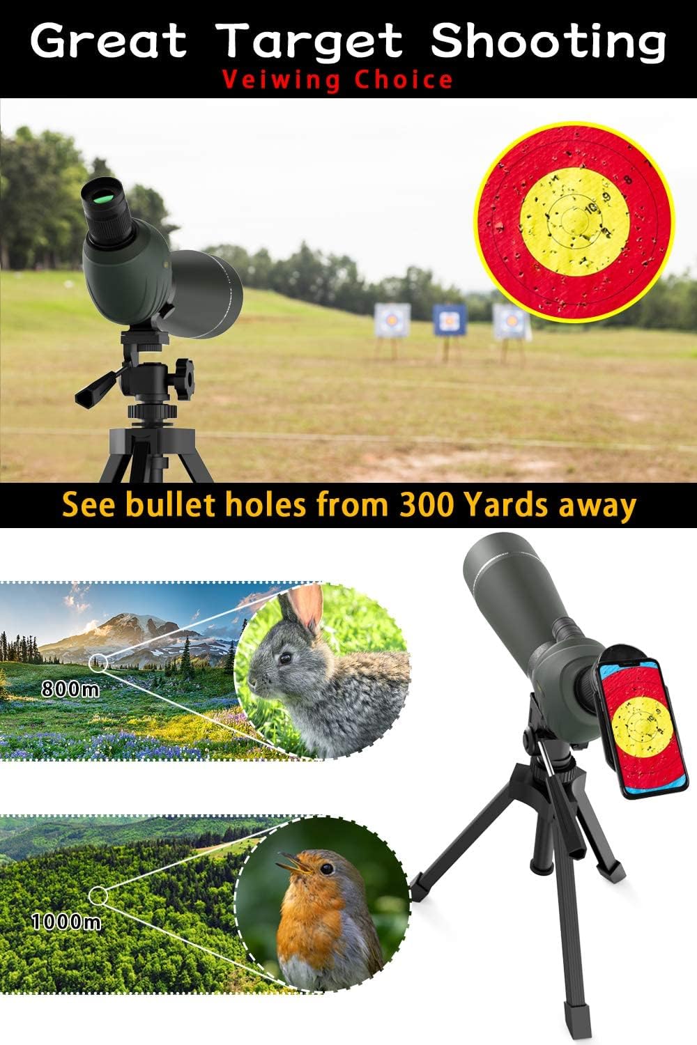 target scope